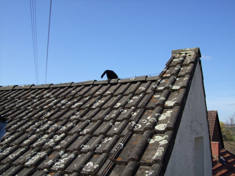 Ostern 2007 Orleshausen 032 